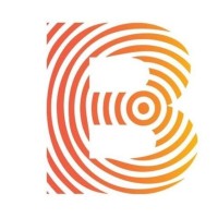 Basid Coin logo - Similar company to Hamster Ltd