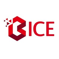BICE logo - Similar company to Groupe Acces