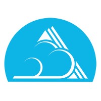 C-level Consulting