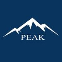 Peakglobalitsolution logo - Similar company to Kayu