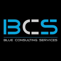 Blue Consulting Services logo - Similar company to Sim Solution Ltd.