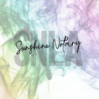 Sunshine Notary LA logo - Similar company to 123Notary
