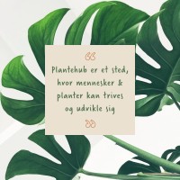 Plantehub logo - Similar company to Deichmann Planter Aps