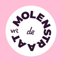 De Molenstraat logo - Similar company to Voltage Brussels
