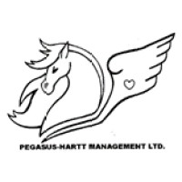 Pegasus-Hartt Management Ltd logo - Similar company to Westpac Solutions Ltd