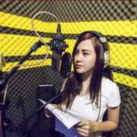 Vietnamese Voice Over Service - VNVO Studio logo - Similar company to Vinalocalize