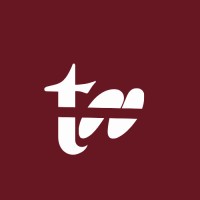 Talent Nexus logo - Similar company to Talent Nexus Management