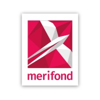 Merifond GmbH logo - Similar company to S-Team