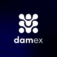 damex logo - Similar company to Damex.Io