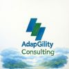 AdapGility Consulting logo - Similar company to Candi Conseil