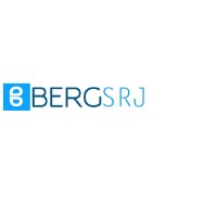 BergSRJ LLC logo - Similar company to Richarise Affluence Enterprises Pvt Ltd