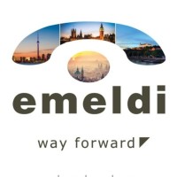 Emeldi Group logo - Similar company to Anext, A.S.