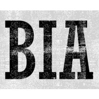 Business Intelligence Analyst (BIA) logo - Similar company to Mpcodingclub