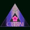 ORKΛI Creator Hub logo - Similar company to Bookmyengineer