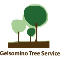 GELSOMINO TREE SERVICE Srl logo - Similar company to Crudo Studio Editoriale