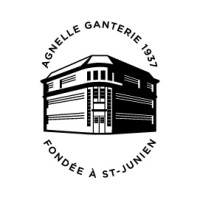 AGNELLE logo - Similar company to B2M Expertise