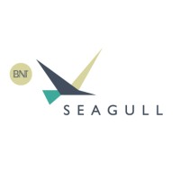 Bni Seagull