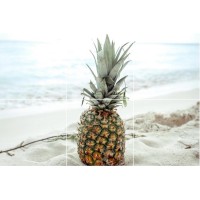 Living Pineapple logo - Similar company to Pineapel™