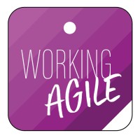 WORKING AGILE logo - Similar company to Working-Agile