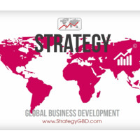 STRATEGY Global Business Development © PLAN | PROMOTE | PROFIT → Top 1% Transformational Consulting