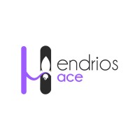 Hendrios Ace logo - Similar company to Mari Perzi Digital