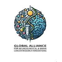 GLOBAL ALLIANCE for Neurosurgical & Brain Cancer Research Innovations logo - Similar company to Beavrs