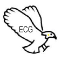 Eagles Consulting Group, Ltd. logo - Similar company to Sosna + Co