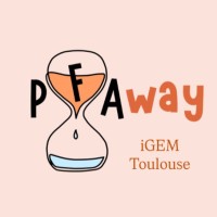 iGEM INSA-UT Toulouse logo - Similar company to Mutans Unipd Team
