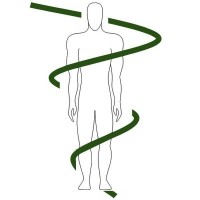 Heart Mind Hand Coaching logo - Similar company to Martiability