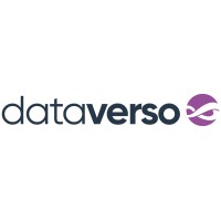 Dataverso logo - Similar company to Minverso