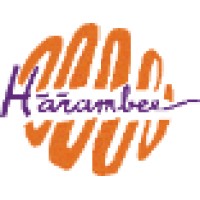 V.V. Harambee logo - Similar company to Freedom Quantum Energy