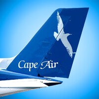 Cape Air logo - Similar company to Ameriflight, Llc