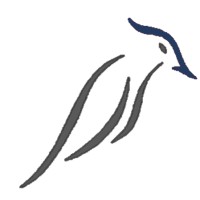 Nakar Group logo - Similar company to Igs - Tailor Made Learning