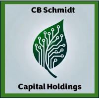 Cbs Capital Holdings