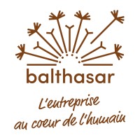 balthasar sàrl - l'entreprise au coeur de l'humain logo - Similar company to Axxun