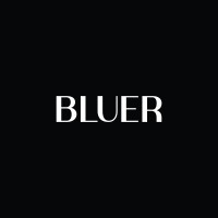 Bluer logo - Similar company to Ctrl M