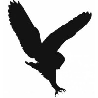 Lacier logo - Similar company to Exp Marketing