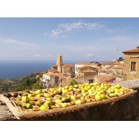 Cilento For You logo - Similar company to Cilento'S