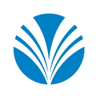 Working Solution International