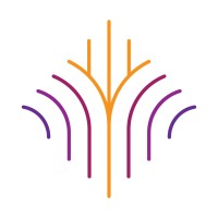 BT RISE logo - Similar company to Sprouting Minds