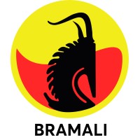 BRAMALI (Boissons Rafraîchissantes du Mali) - Groupe CASTEL logo - Similar company to Robautech