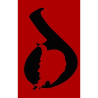 daemon technology solutions logo - Similar company to M2Wealth International