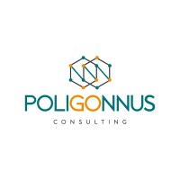 Poligonnus Consulting logo - Similar company to Boyum It Solutions