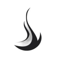 Signer Adebiyi Partners logo - Similar company to Lfs Advisory Gmbh