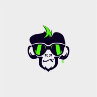 Zyppo logo - Similar company to Icarus Talent