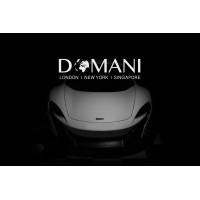 Domani Training & Consultancy