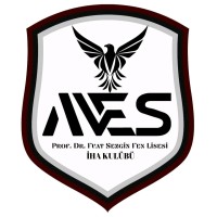 FSFL AVES logo - Similar company to Bilimolog