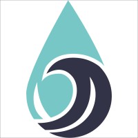 Deep Water Software logo - Similar company to Service Software, Llc