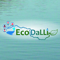 EcoDaLLi Project logo - Similar company to Danser