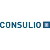 Consulio Consulting GmbH logo - Similar company to Consulio